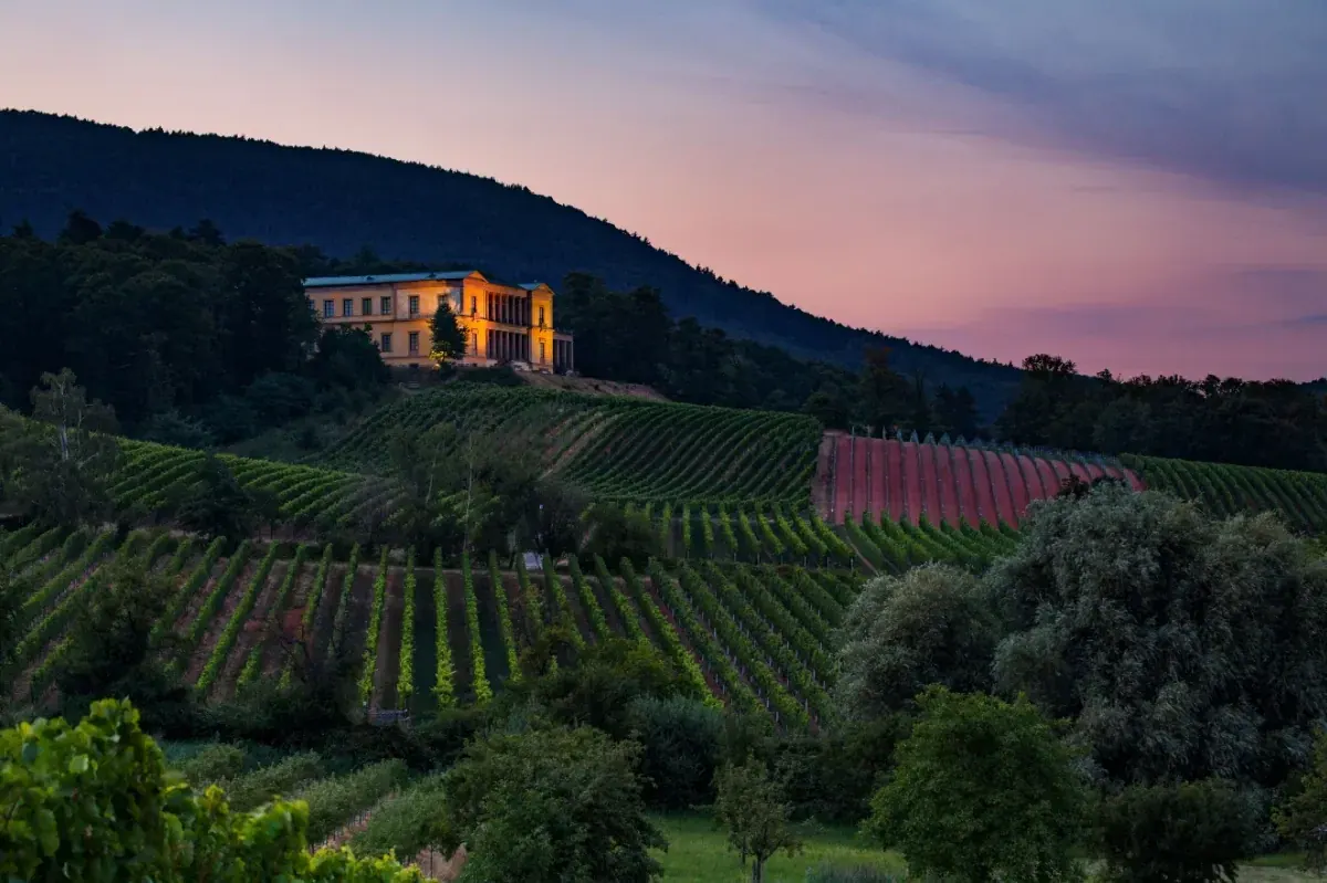 Villa Ludwigshoehe heiraten pfalz location